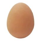 Ovo Macico De Borracha Furacaopet