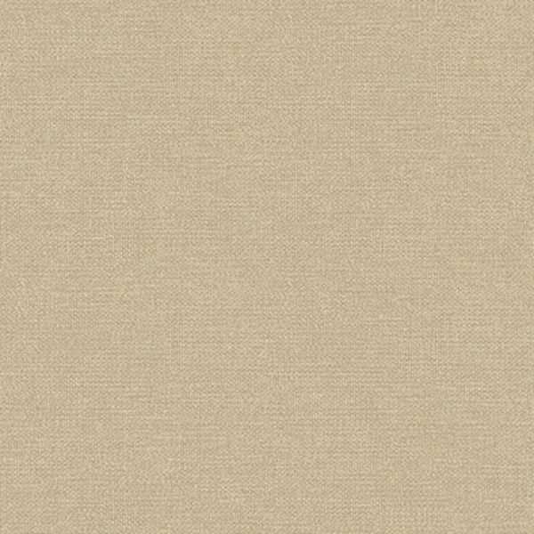 P PAR VINILIC TEXT LINHO BG ESC 53CMX10M