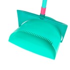 Pá Lixo Coletor Cabo Novica