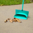 Pá Lixo Coletor Cabo Novica