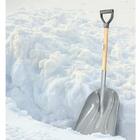 Pa Plastica Com Cabo De Madeira 79 Cm E Com Empunhadura Plast