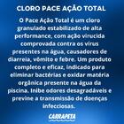 Pace Acao Total 1kg 74.026