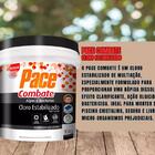 Pace Combate Hth 10kg Multiação 3 Em 1 Para Piscinas
