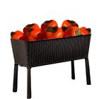 Pacote 10 Caquis Artificiais Laranja - Fruta Permanente E Dur