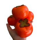 Pacote 10 Caquis Artificiais Laranja - Fruta Permanente E Dur