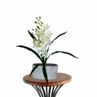 Pacote Com 5 Orquídeas Dançante Realista Para Composição De F