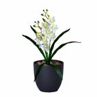 Pacote Com 5 Orquídeas Dançante Realista Para Composição De F