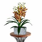 Pacote Com 5 Orquídeas Dançante Realista Para Composição De F
