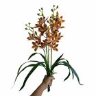Pacote Com 5 Orquídeas Dançante Realista Para Composição De F