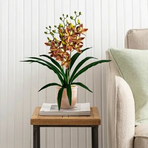 Foto de Pacote Com 5 Orquídeas Dançante Realista Para Composição De F