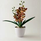 Pacote Com 5 Orquídeas Dançante Realista Para Composição De F