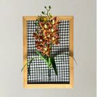 Pacote Com 5 Orquídeas Dançante Realista Para Composição De F