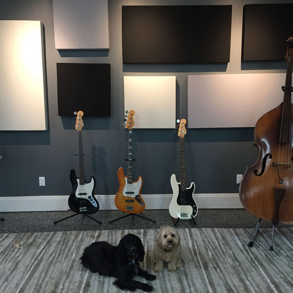 Painel Acústico Bl Acoustic 1301 - 650 Azul Marinho | Leroy Merlin