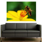 Painel Adesivo De Parede - Abelha - 222pnp