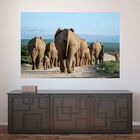 Painel Adesivo De Parede - Animais - Elefante - 1149png
