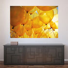 Painel Adesivo De Parede - Bexigas - 326pnm