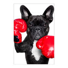 Painel Adesivo De Parede - Cachorro - Pet Shop - 1628pnm