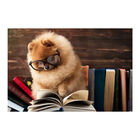 Painel Adesivo De Parede - Cachorro - Pet Shop - 831pnm