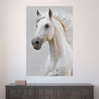 Painel Adesivo De Parede - Cavalo - Animais - 1843pnm