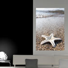 Painel Adesivo De Parede - Estrela Do Mar - 163png