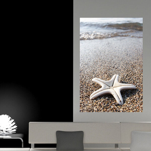 Painel Adesivo De Parede - Estrela Do Mar - 163png