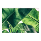 Painel Adesivo De Parede - Folha - Folhagem - 1283pnm