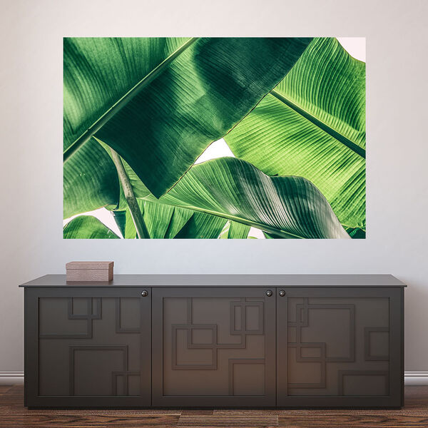 Painel Adesivo De Parede - Folha - Folhagem - 1283pnm