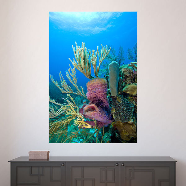 Painel Adesivo De Parede - Fundo Do Mar - 1449png