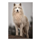 Painel Adesivo De Parede - Lobo Branco - Animais - 1835pnp