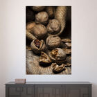 Painel Adesivo De Parede - Nozes - 561pnm