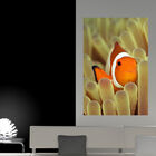 Painel Adesivo De Parede - Peixe Palhaço - 148pnp