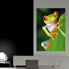 Painel Adesivo De Parede - Sapinhos - 109pnm