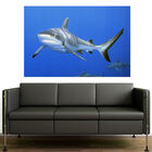 Painel Adesivo De Parede - Tubarão - 190png