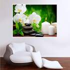 Painel Adesivo Para Parede Floral Modelo 9-p 56x67cm