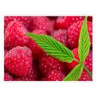 Painel Adesivo Para Parede Framboesas-m 66x90cm