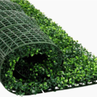 Painel De Plantas Buchinho Muro Inglês