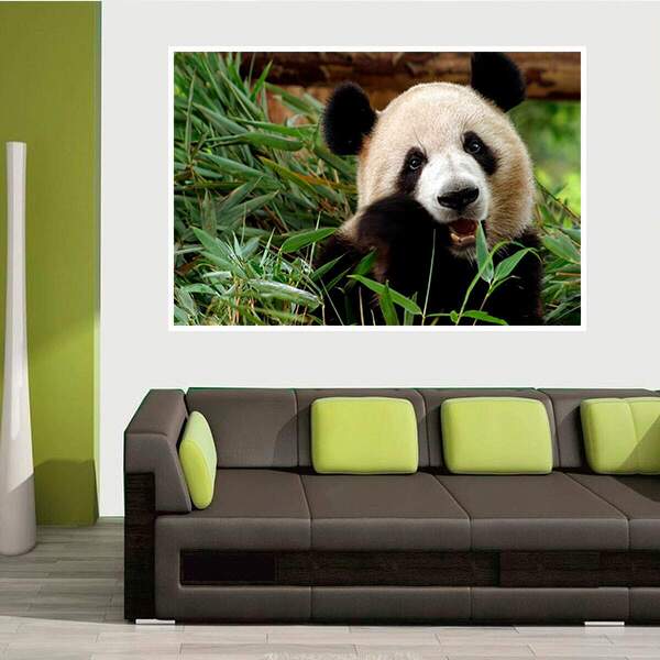 Painel Fotográfico Adesivo Animais 11-m 66x90cm