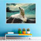 Painel Fotográfico Adesivo Animais 12-g 90x135cm