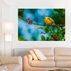 Painel Fotográfico Adesivo Animais 13-p 56x67cm