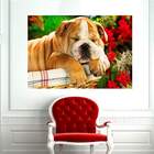 Painel Fotográfico Adesivo Animais 18-m 66x90cm