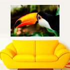 Painel Fotográfico Adesivo Animais 20-p 56x67cm