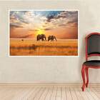 Painel Fotográfico Adesivo Animais 22-g 90x135cm