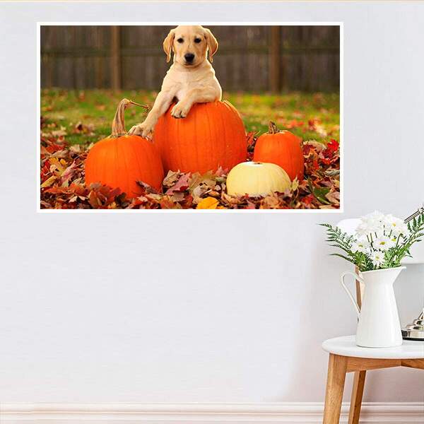 Painel Fotográfico Adesivo Animais 29-p 56x67cm