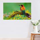 Painel Fotográfico Adesivo Animais 34-g 90x135cm