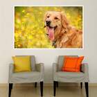 Painel Fotográfico Adesivo Animais 35-p 56x67cm