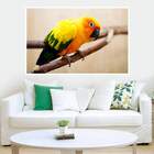 Painel Fotográfico Adesivo Animais 3-m 66x90cm