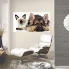 Painel Fotográfico Adesivo Cachorro E Gato -g 90x135cm