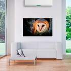 Painel Fotográfico Adesivo Coruja 2-m 66x90cm