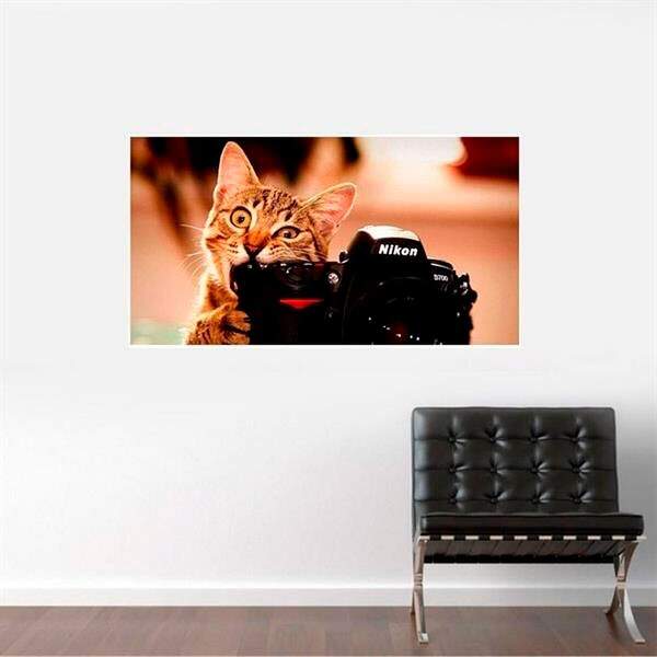 Painel Fotográfico Adesivo Gato Mordendo Câmera-g 90x135cm