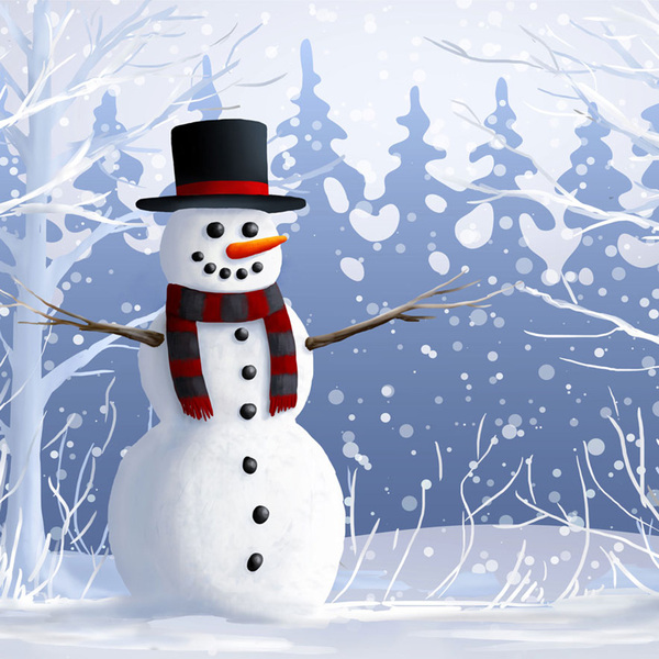 Painel Fotográfico Helanca Boneco De Neve Natal 1.5x1.5mp1697